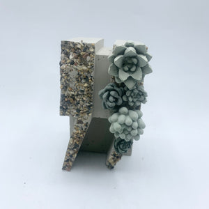 Succulent Garden Quotation Mark Bookend