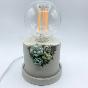 Succulent Accent Lamp