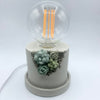 Succulent Accent Lamp
