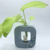 Hip to be Square with Crystal Accent
