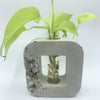 Hip to be Square with Crystal Accent