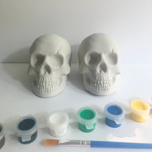 DIY Skull Paint Set