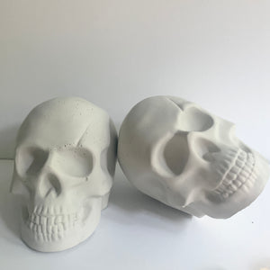 DIY Skull Paint Set