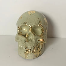 Decorative Skull (Plain + Gold Foil)