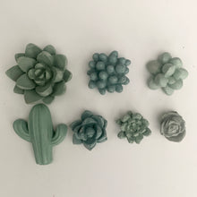 Small Succulent Push Pin Set