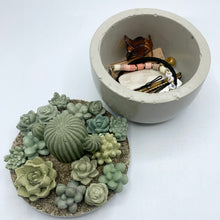 Concrete Succulent Garden Container (Surprise Top)