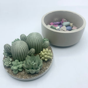 Concrete Succulent Garden Container (Surprise Top)