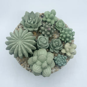 Ribbed Concrete Succulent Garden Container (Surprise Top)