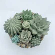 Ribbed Concrete Succulent Garden Container (Surprise Top)