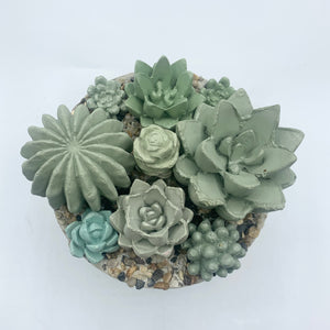 Ribbed Concrete Succulent Garden Container (Surprise Top)