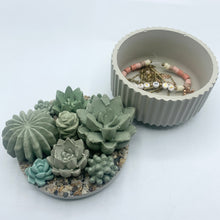 Ribbed Concrete Succulent Garden Container (Surprise Top)