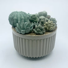 Ribbed Concrete Succulent Garden Container (Surprise Top)