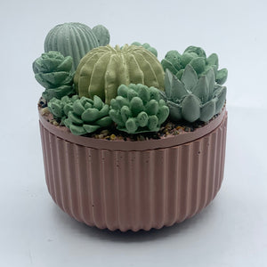 Ribbed Concrete Succulent Garden Container (Surprise Top)