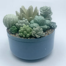 Concrete Succulent Garden Container (Surprise Top)