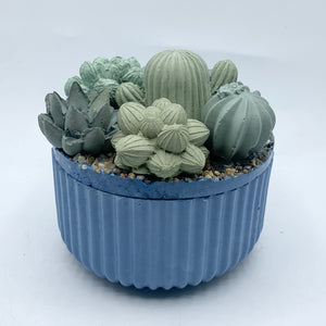 Ribbed Concrete Succulent Garden Container (Surprise Top)