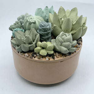 Concrete Succulent Garden Container (Surprise Top)