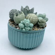 Ribbed Concrete Succulent Garden Container (Surprise Top)