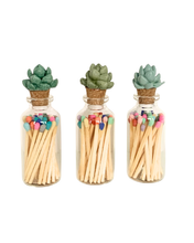 Succulent Match Jar