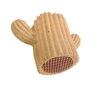Cactus Match Holder