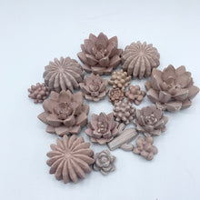 9-Piece Succulent Magnet Set