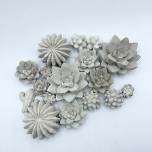 9-Piece Succulent Magnet Set