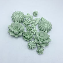 9-Piece Succulent Magnet Set