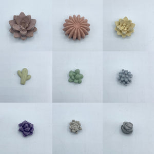 9-Piece Succulent Magnet Set