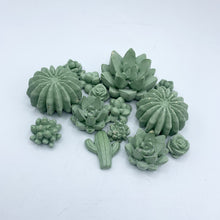 9-Piece Succulent Magnet Set