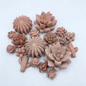 9-Piece Succulent Magnet Set