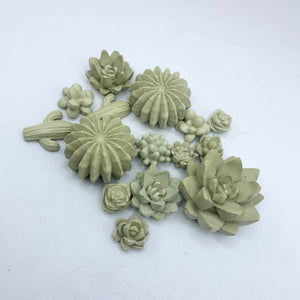 9-Piece Succulent Magnet Set