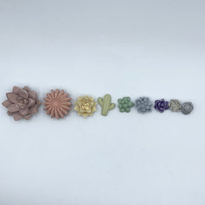 9-Piece Succulent Magnet Set